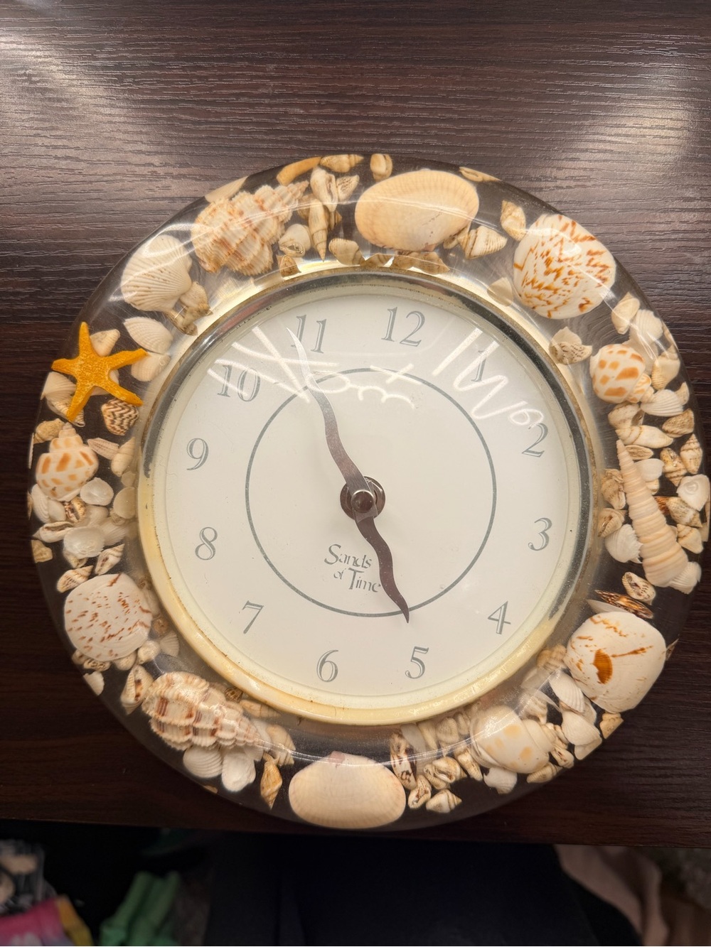 Sands of Time Seashell Wall Clock in White and Cream